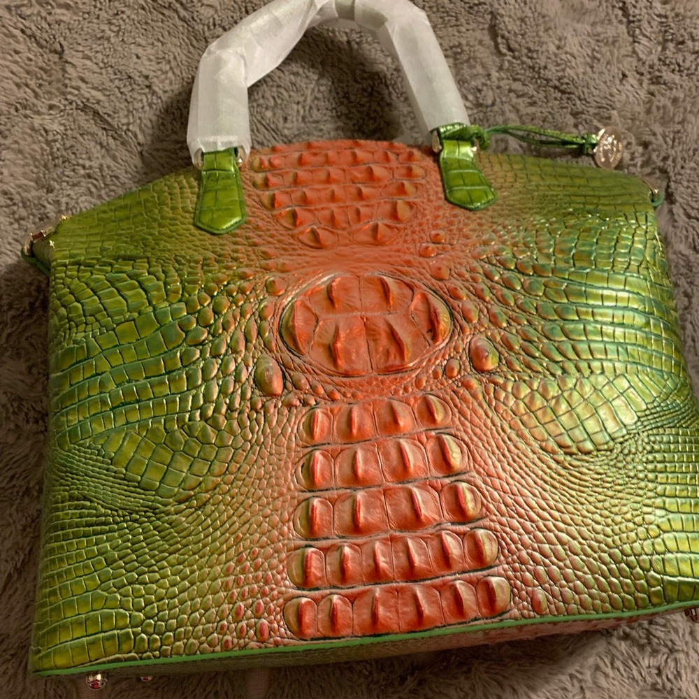 Brand new pink and green Brahmin.